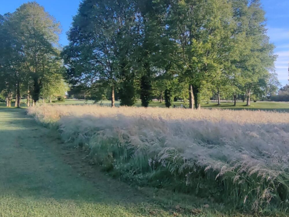 Synergie Golf et Centre équestre