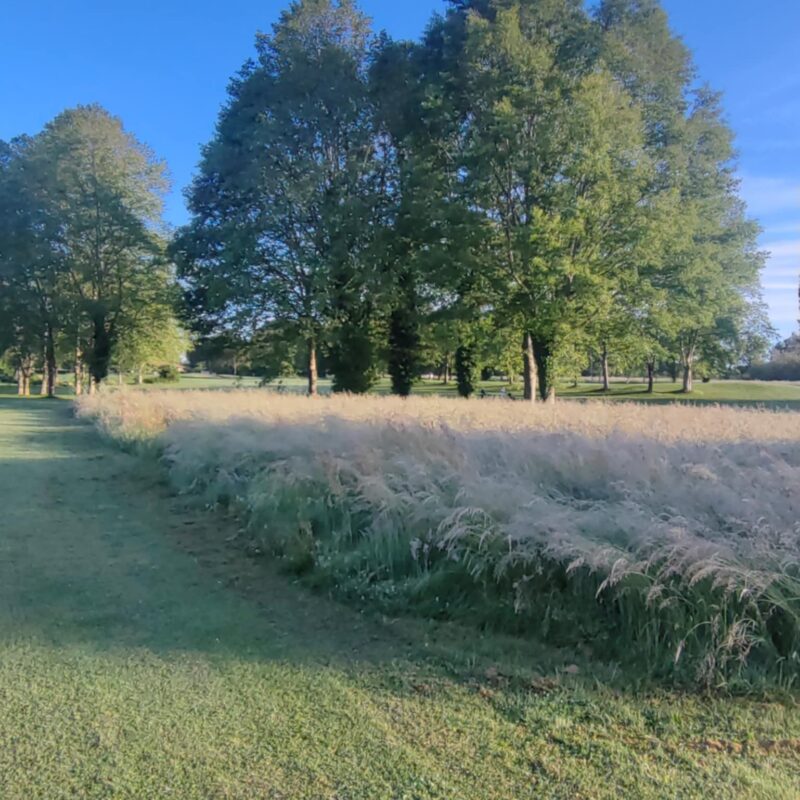 Synergie Golf et Centre équestre